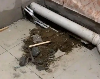 爱辉卫生间漏水检测哪家好