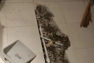 爱辉卫生间漏水检测电话